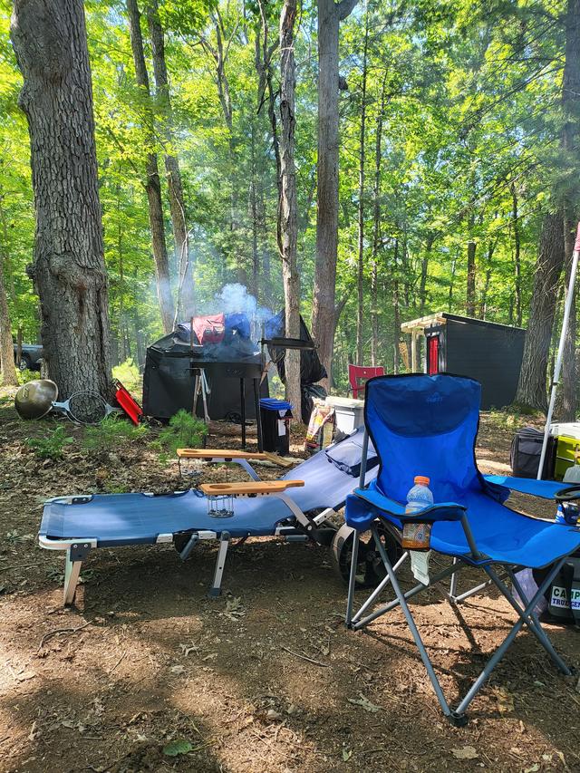 Camp chairs, a cot and gear set out under tall trees