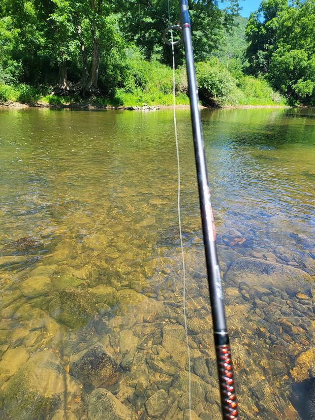 A fishing rod held over shallow, clear water running over stones