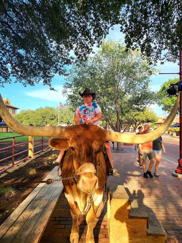 A longhorn steer with an enormous horn spread, a rider on its back