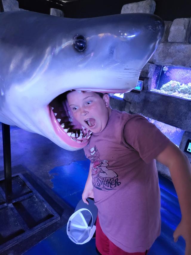 Conor mugging inside the open jaws of a mounted shark